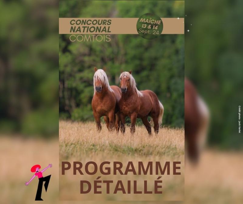 PROGRAMME DÉTAILLÉ DU NATIONAL COMTOIS ET ORDRE DE PASSAGE DES POULICHES DE 2 ANSCheval