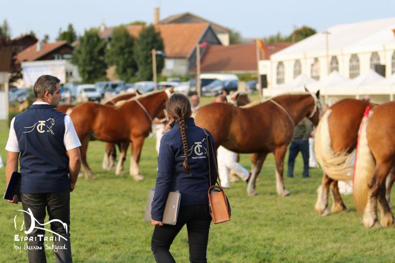 CALENDRIER DES CONCOURS 2025Cheval