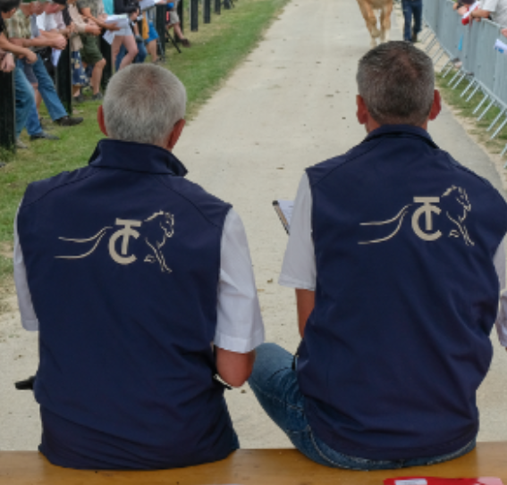 Veste sans manche homme